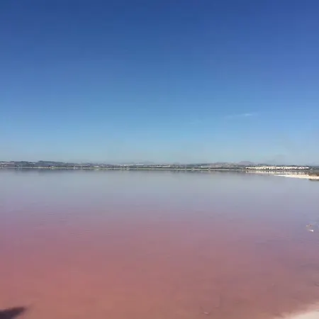 Seafront Dream טורבייחה