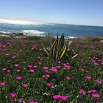דירה Seafront Dream *