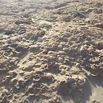 דירה Seafront Dream