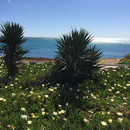 Seafront Dream