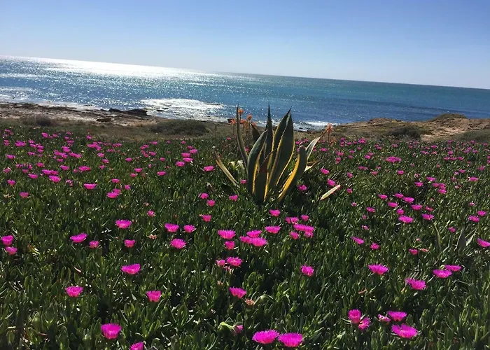 Appartement Seafront Dream *