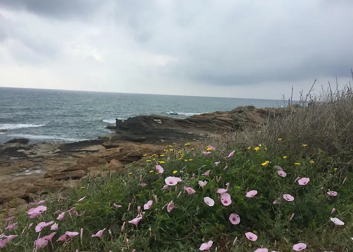 Seafront Dream Lägenhet Torrevieja