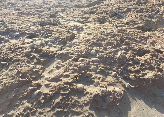 Lägenhet Seafront Dream