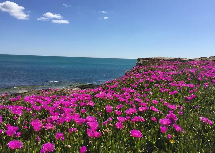 Seafront Dream Apartment