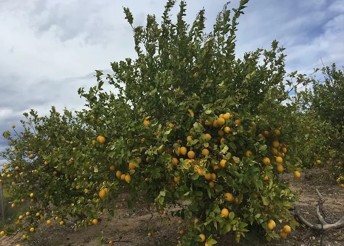 Apartment Seafront Dream *