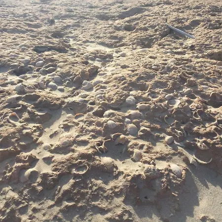 Apartament Seafront Dream