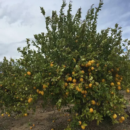 Apartament Seafront Dream *